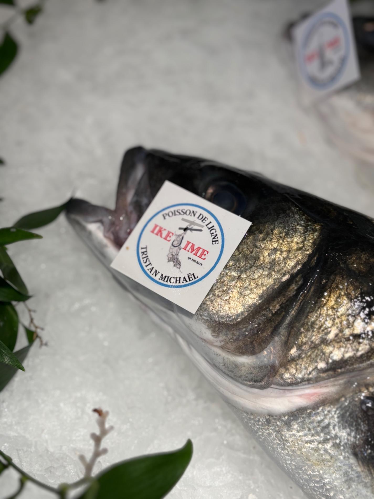 La technique d&rsquo;abattage IKEJIME