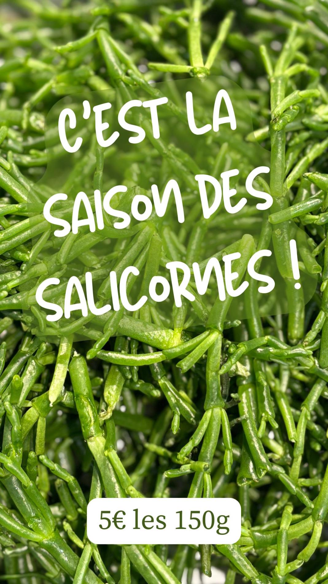 D&eacute;couvrez les salicornes, bienfaits et recettes