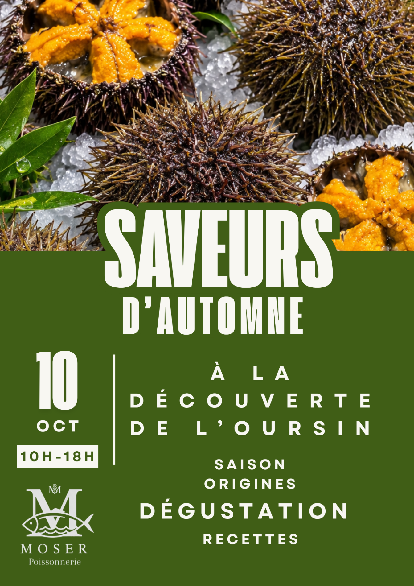 &Agrave; la d&eacute;couverte de l&rsquo;oursin !