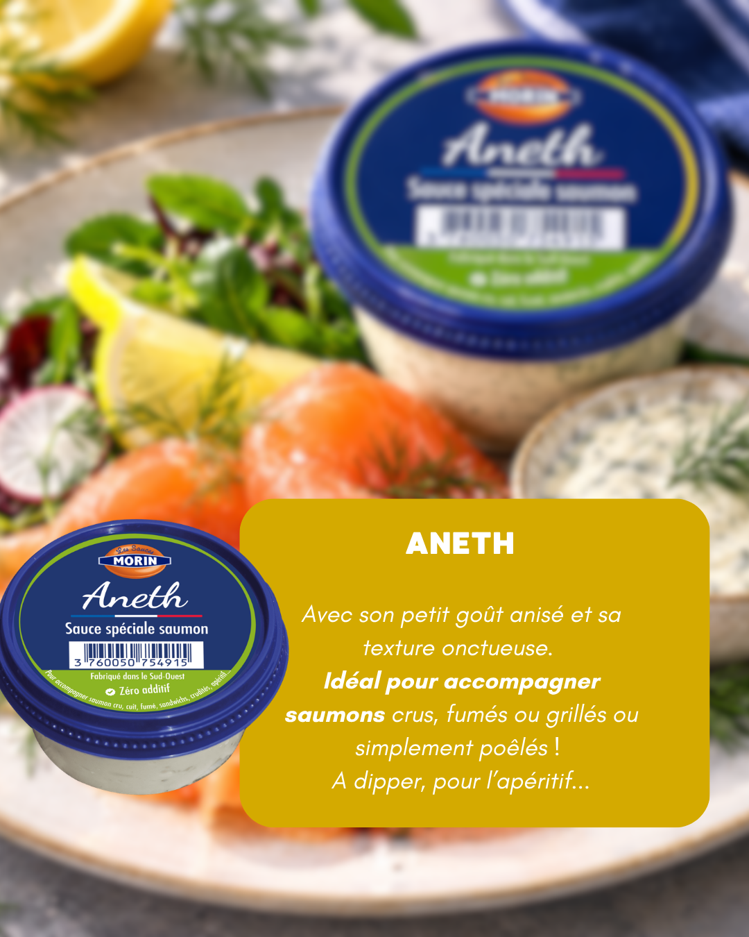 D&eacute;couvrez les sauces MORIN