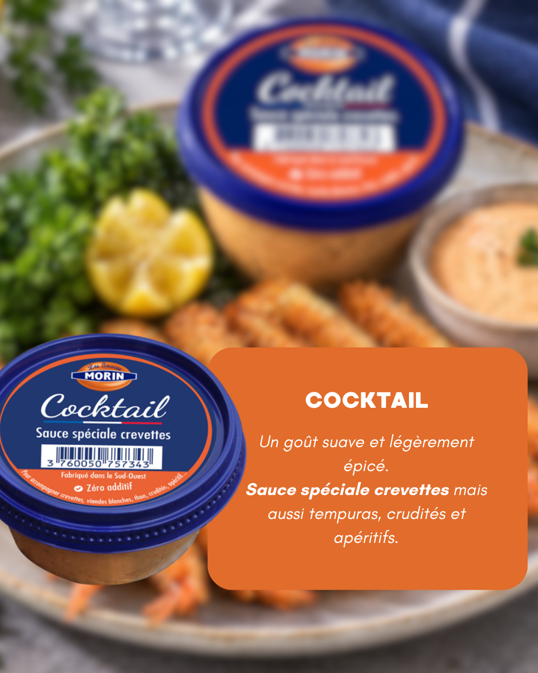 D&eacute;couvrez les sauces MORIN