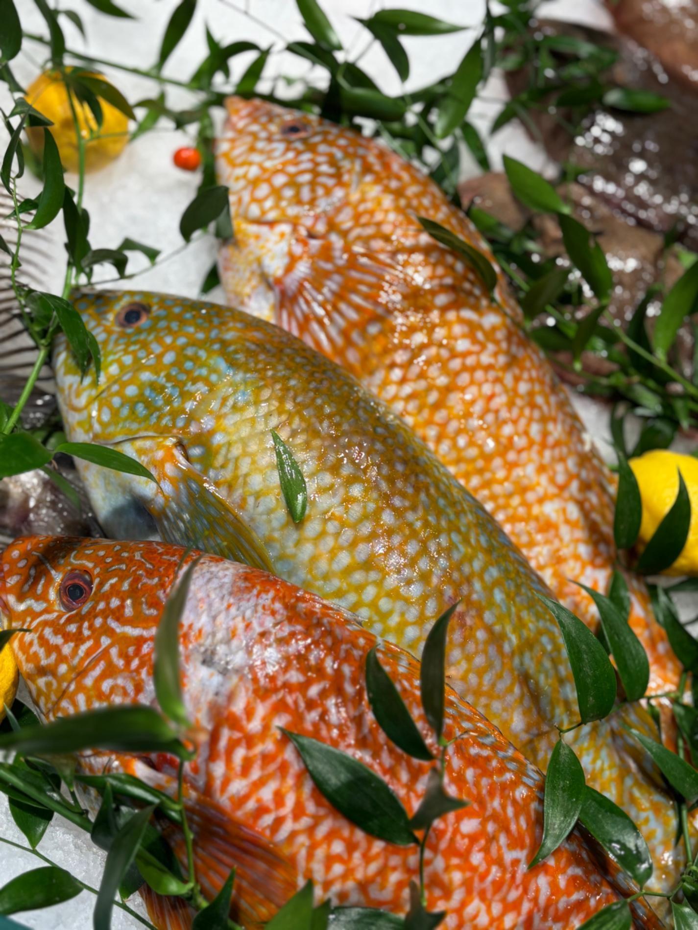🐟 Arrivage du jour et r&ocirc;tis de poisson