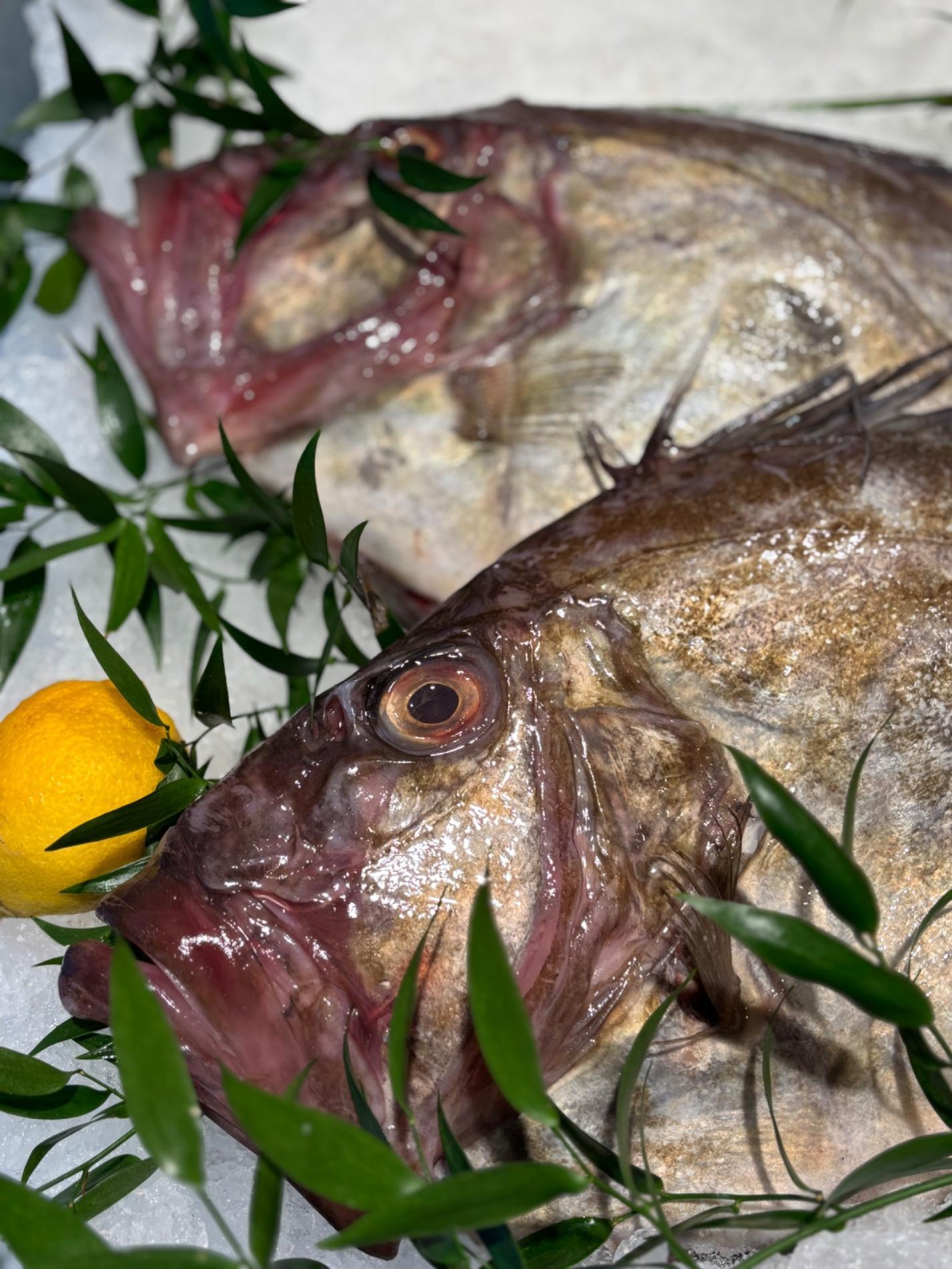 🐟 Arrivage du jour et r&ocirc;tis de poisson