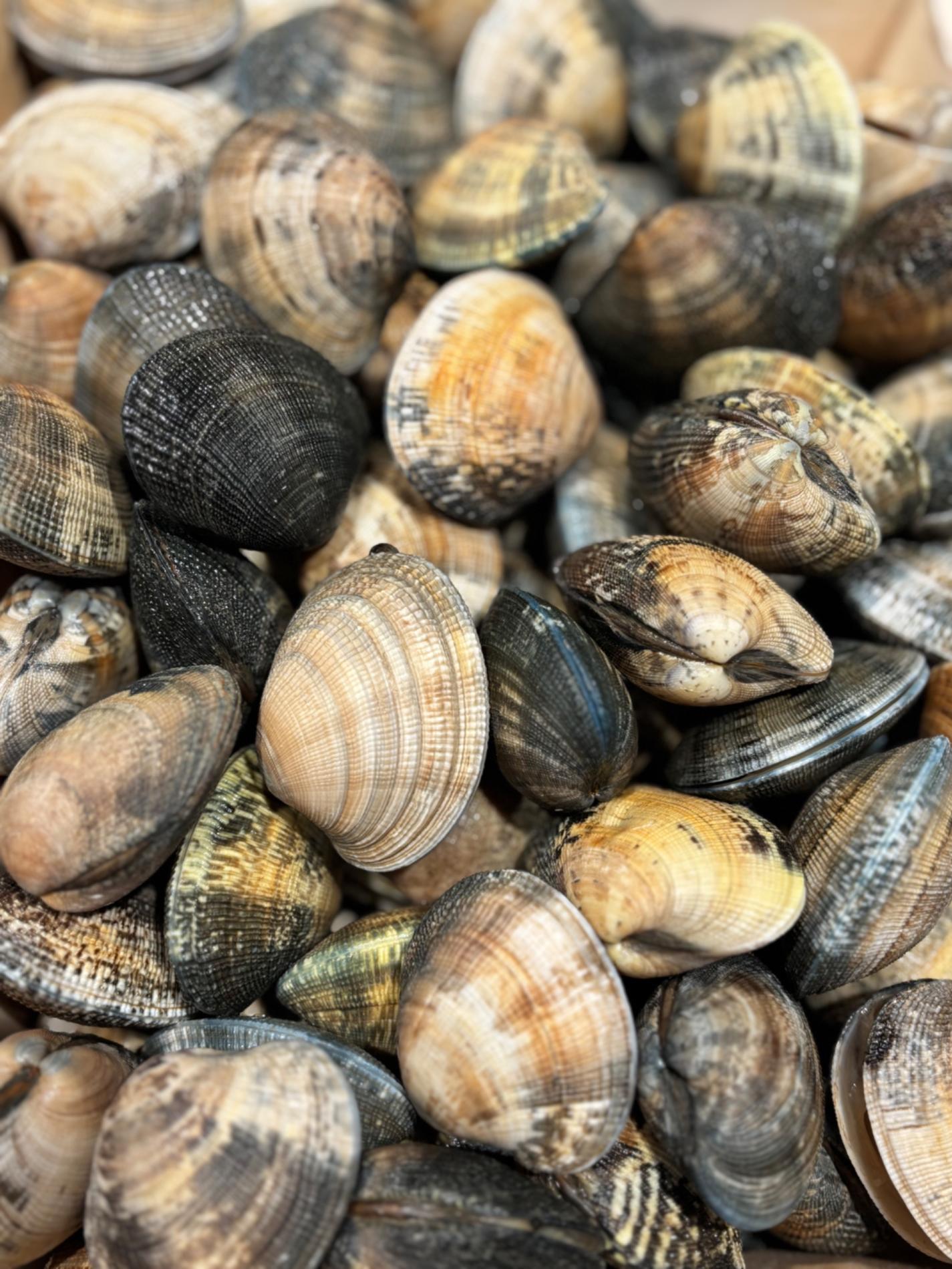 🐟 Arrivage du jour et r&ocirc;tis de poisson