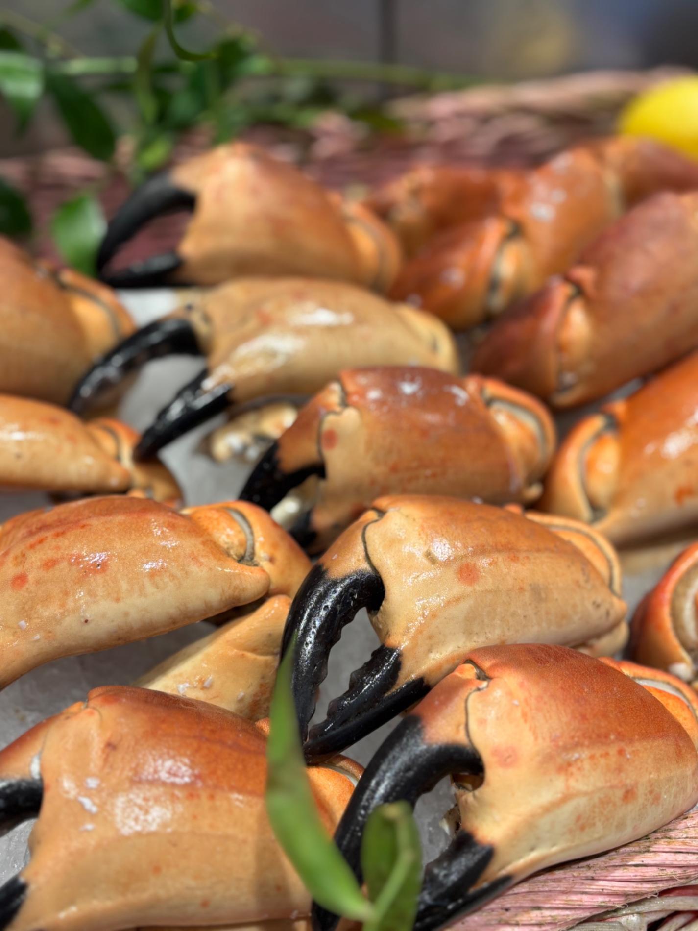 🐟 Arrivage du jour et r&ocirc;tis de poisson