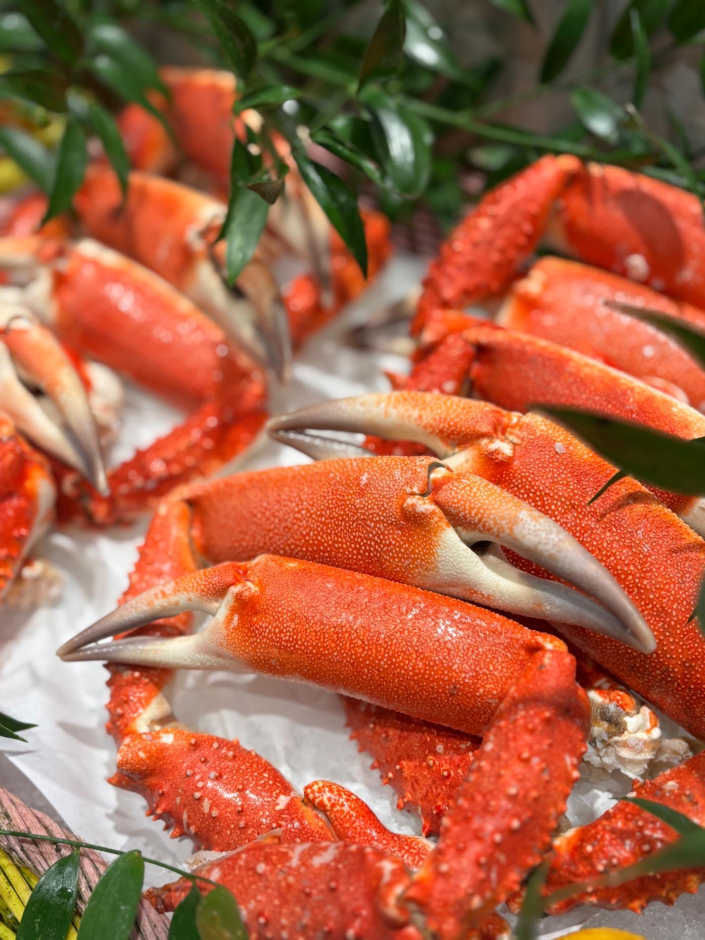 🐟 Arrivage du jour et r&ocirc;tis de poisson