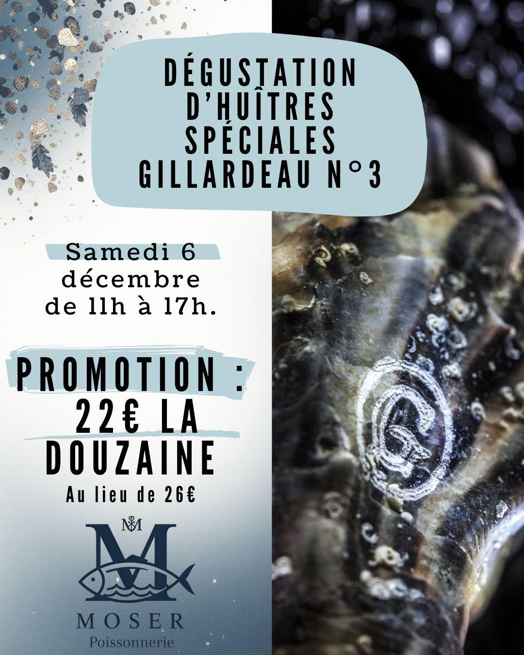 D&eacute;gustation d'huitres gillardeau !