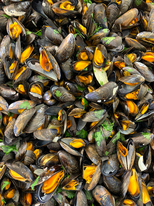 12 et 13/12 : Choucroute de la mer