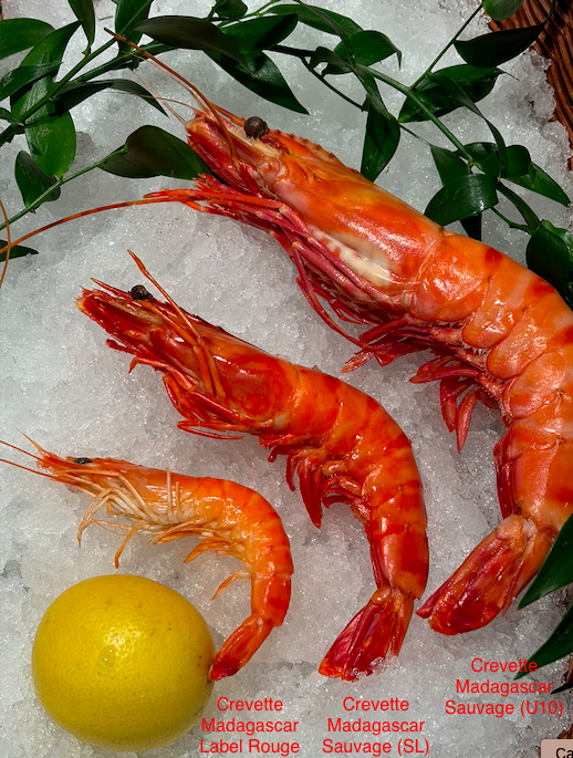 D&eacute;couvrez nos crevettes roses !