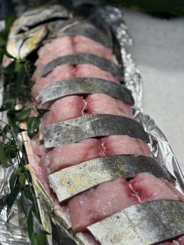 Dorade coryphène de 11kg !