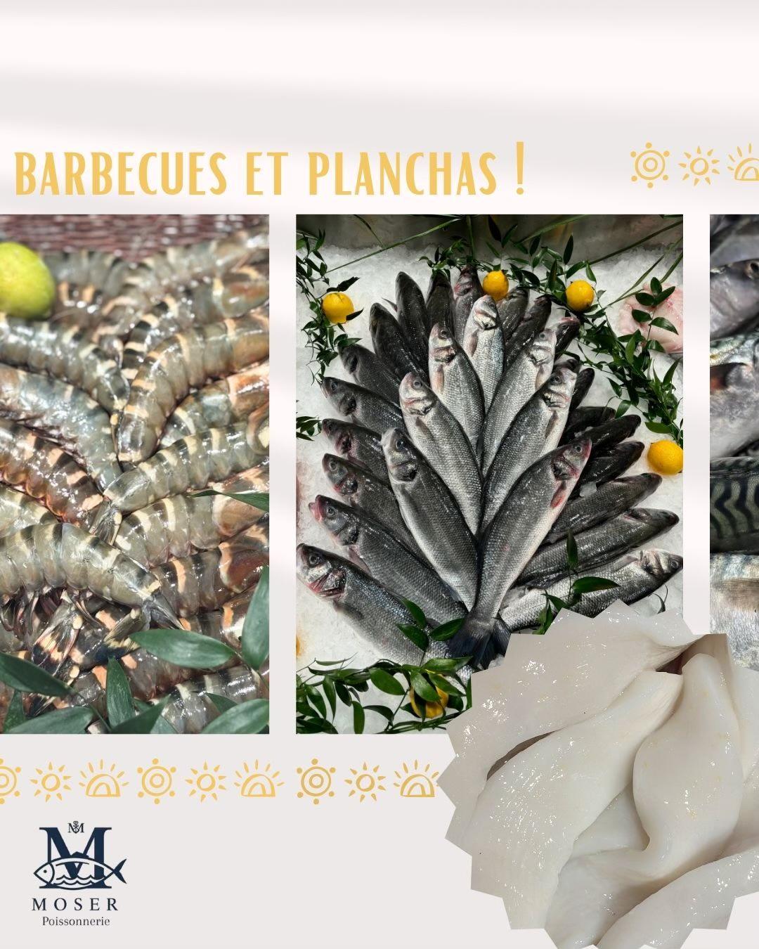 Barbecues et planchas !