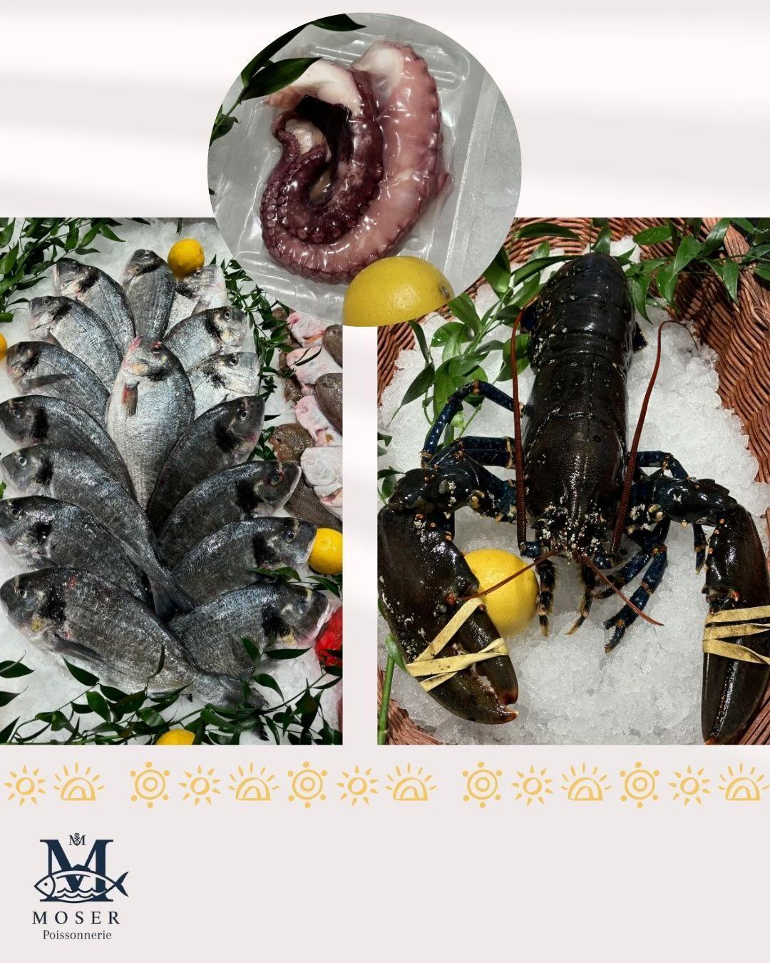 Barbecues et planchas !
