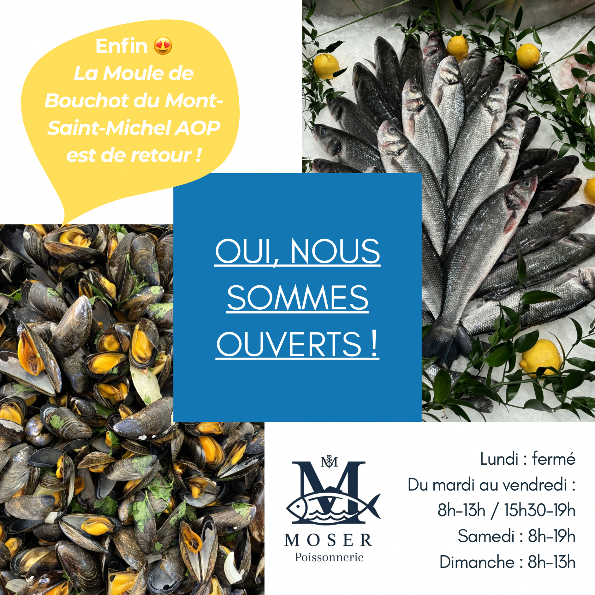 Nous sommes ouverts ! La moule de Bouchot du Mont St Michel vous attend !