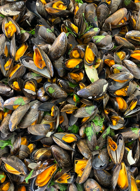 Moules marinières (1 part)