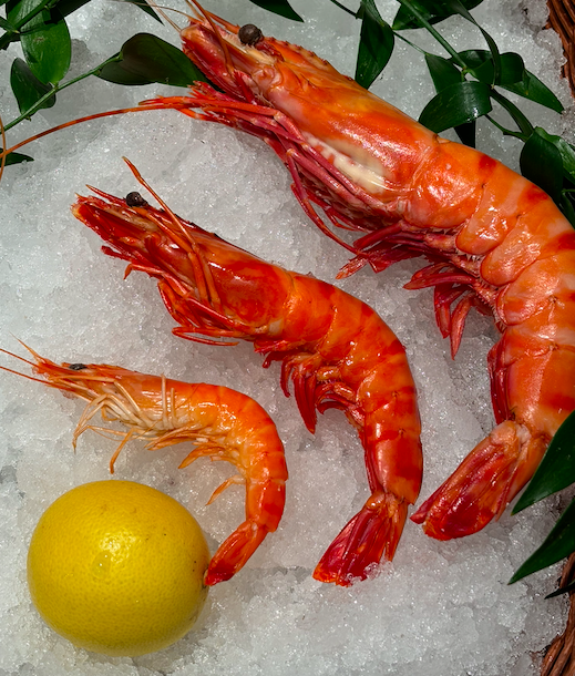 Crevettes roses Madagascar label rouge 200g