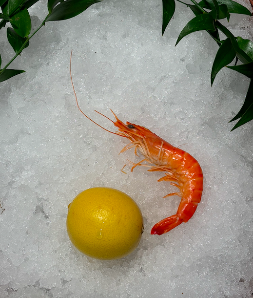 Crevettes roses Madagascar label rouge 200g