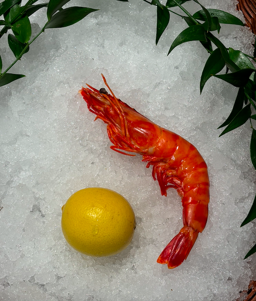 Crevettes roses sauvages Madagascar 200g