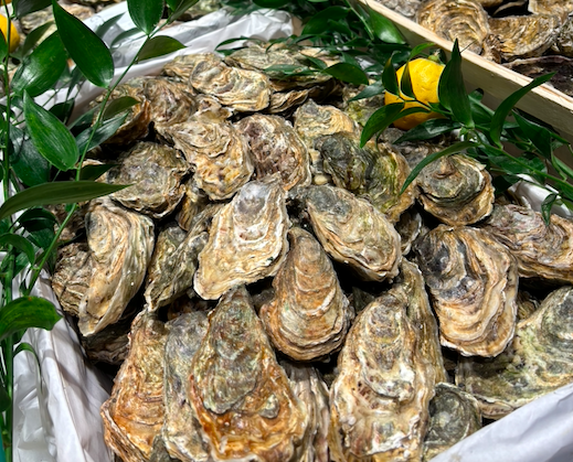 Nom du produit