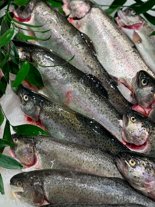 Truite Arc en ciel 250g